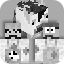 Server Icon
